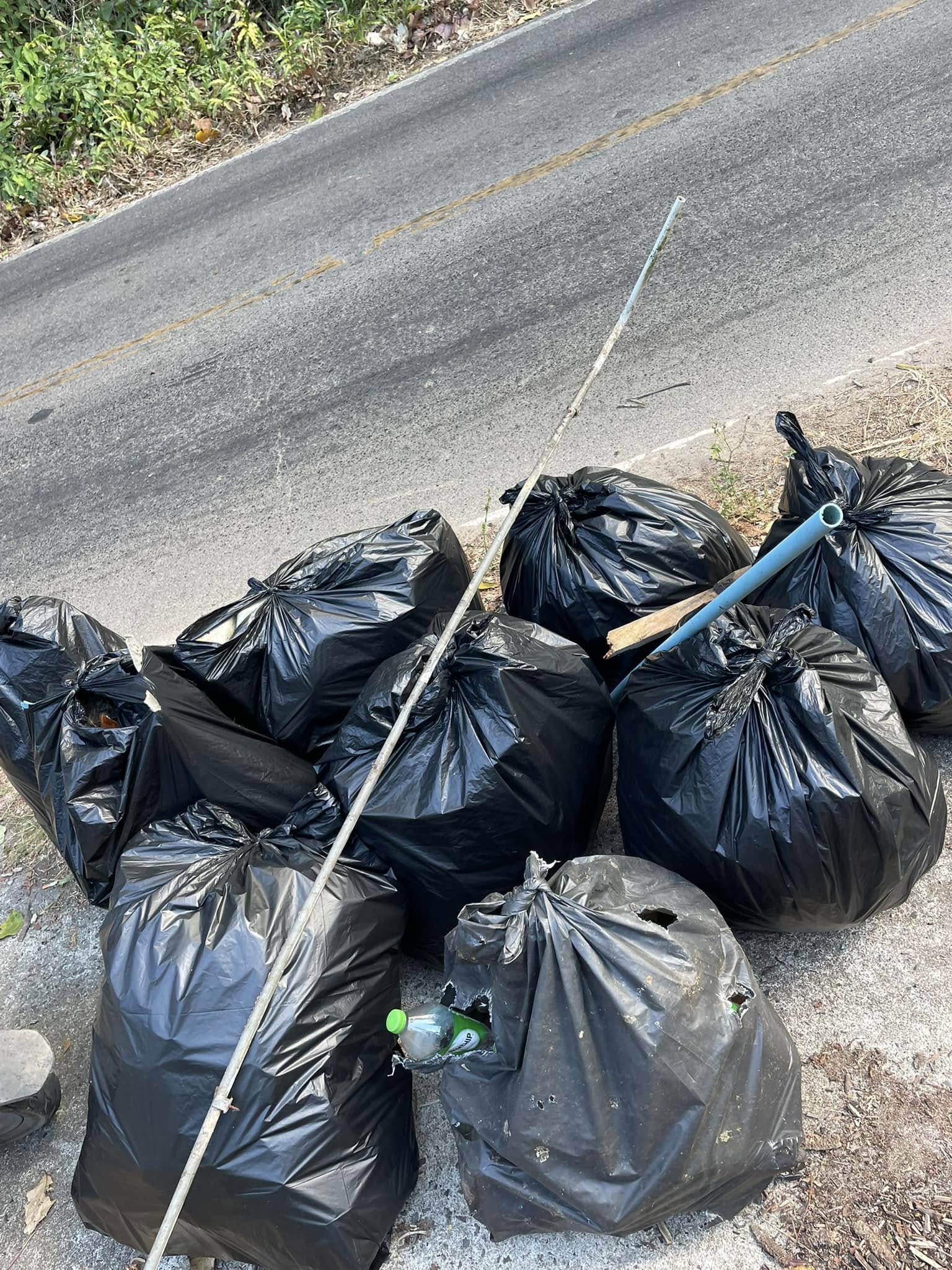 trash-hero-koh-chang-2025-01-15 | Der Müllhai | collectsmart